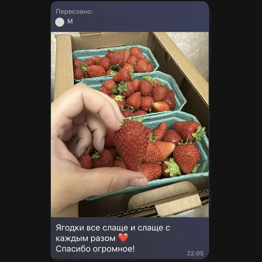 Сегодня ягод много — есть и стандартная клубника, и клубника «на варенье» 🍓

Можно приходить на точ