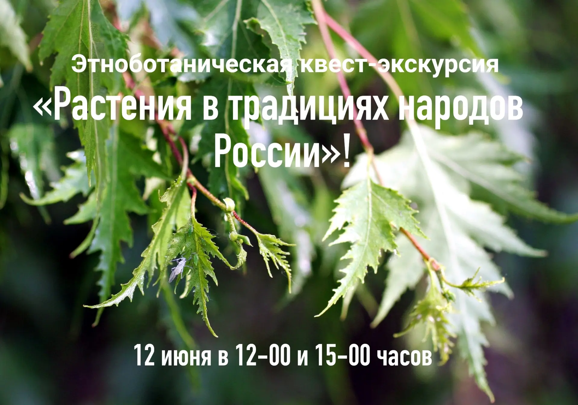 🌳Ботанический сад проведет квест о растениях в День России

📅 12 июня в 12:00 и 15:00
📍 ул. Менде