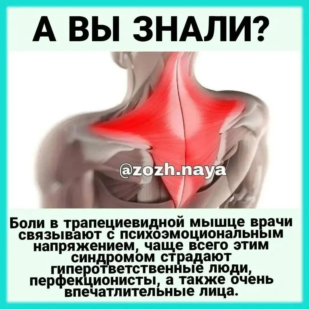Боль в трапециевидной мышце не всегда ограничивается только областью мышцы

Например, эта мышца спос