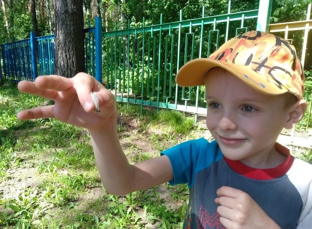 «В мире насекомых»
В группе "Незабудка" прошла увлекательная тематическая неделя под знаком удивител