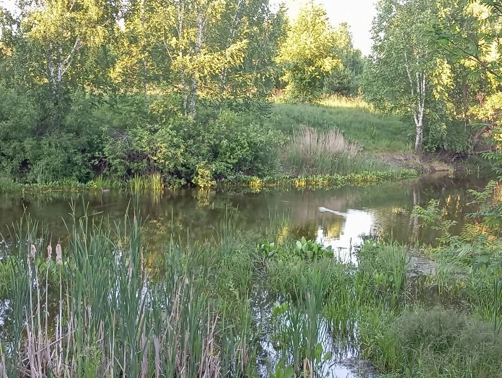 Профилактический рейд на водные объекты