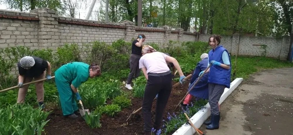 Состоялся очередной субботник по благоустройству территории лаборатории.
