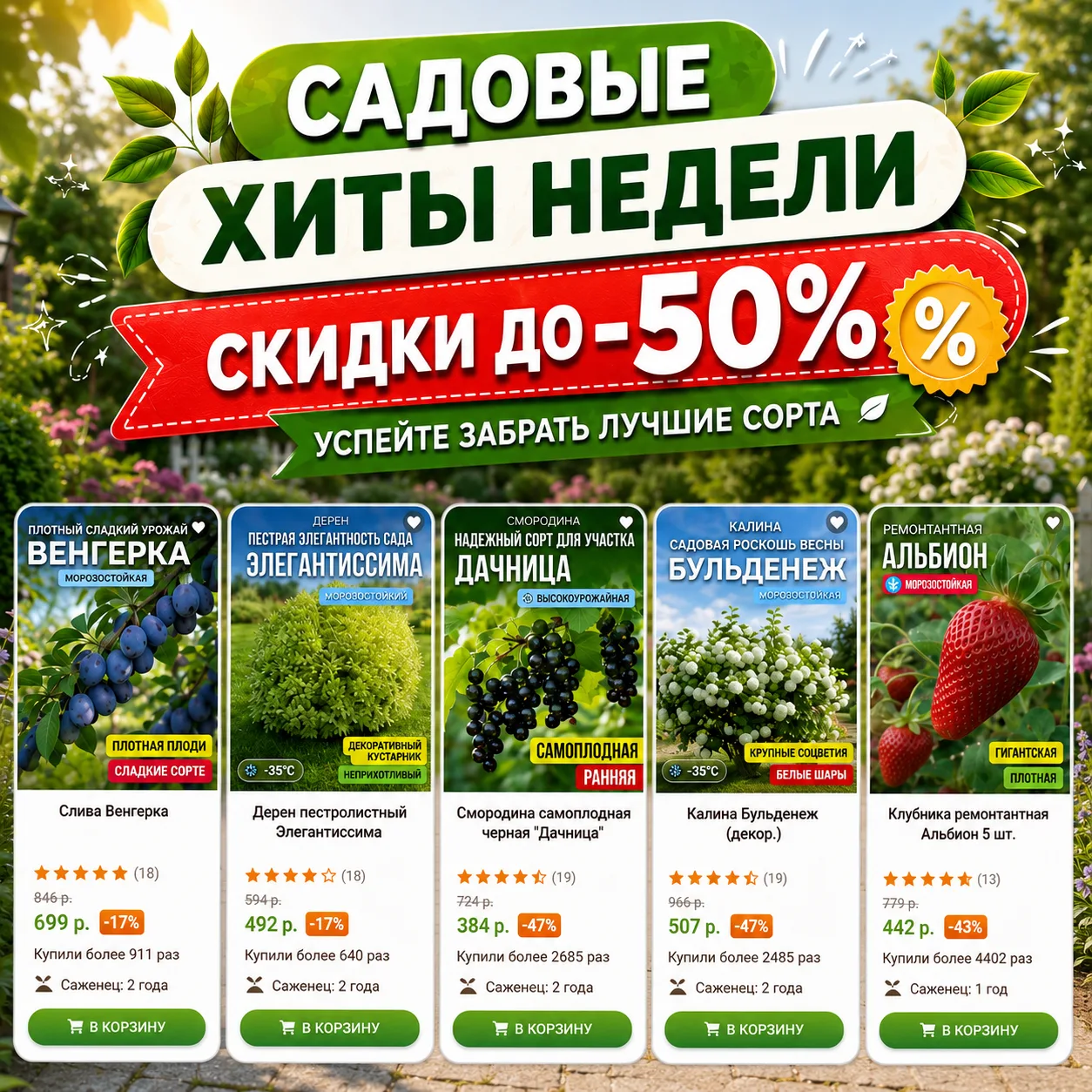 ⚡Скидки до −50% на сорта, мимо которых трудно пройти

Самые удачные садовые покупки часто начинаются