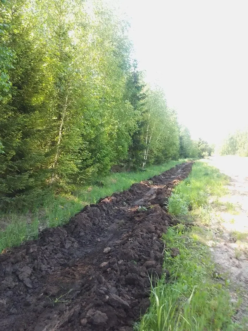 🔥обновлены противопожарные минерализованные полосы🔥

🌲Ковылкинское территориальное лесничество пр