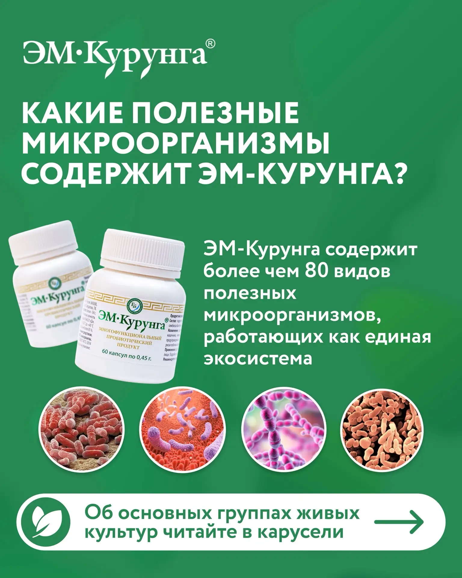 Какие полезные микроорганизмы содержит ЭМ-курунга?

🔬ЭМ-Курунга содержит более чем 80 видов полезны