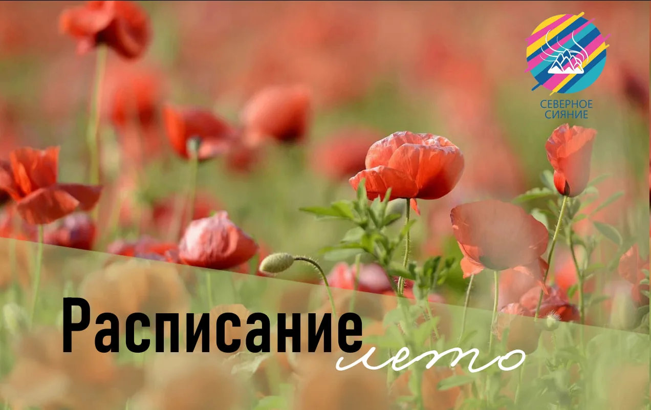 🌿Дорогие родители и ребята!

Совсем скоро лето распахнёт свои двери — щедро, широко, всем светом ср