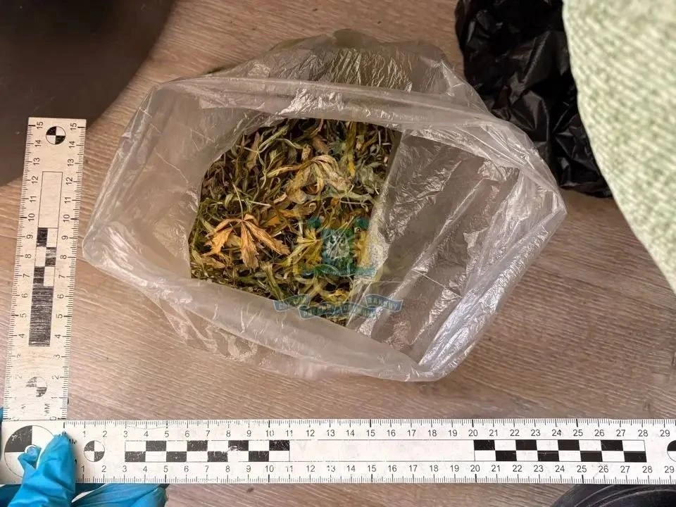 ⚡️ Жителя Нефтеюганска будут судить за выращивание конопли и хранение боеприпасов

По данным полиции
