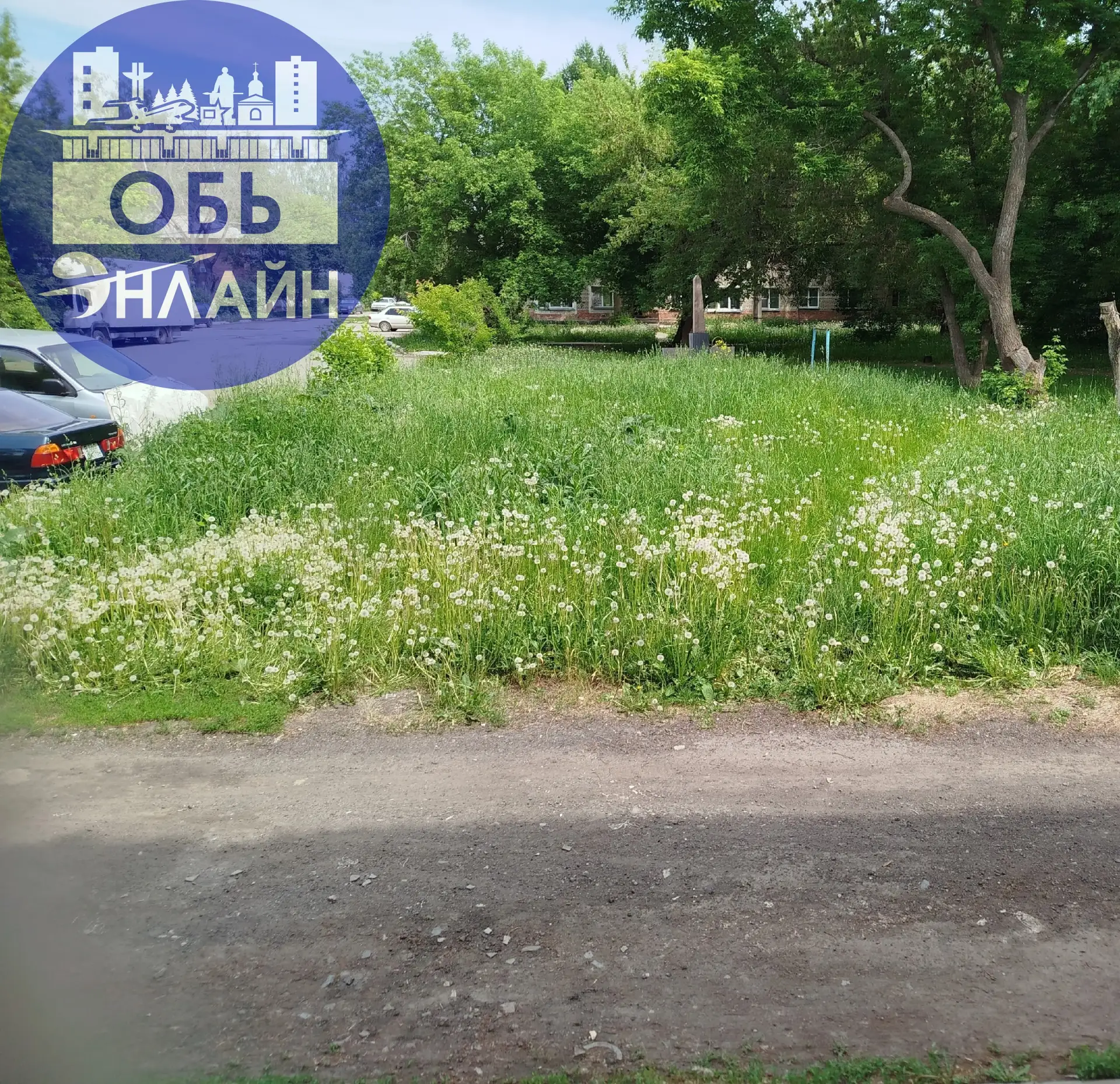 Здравствуйте, 
ул. Геодезическая,11 каждый год одно и тоже 🤦...
Живём как посреди поля, трава с чел