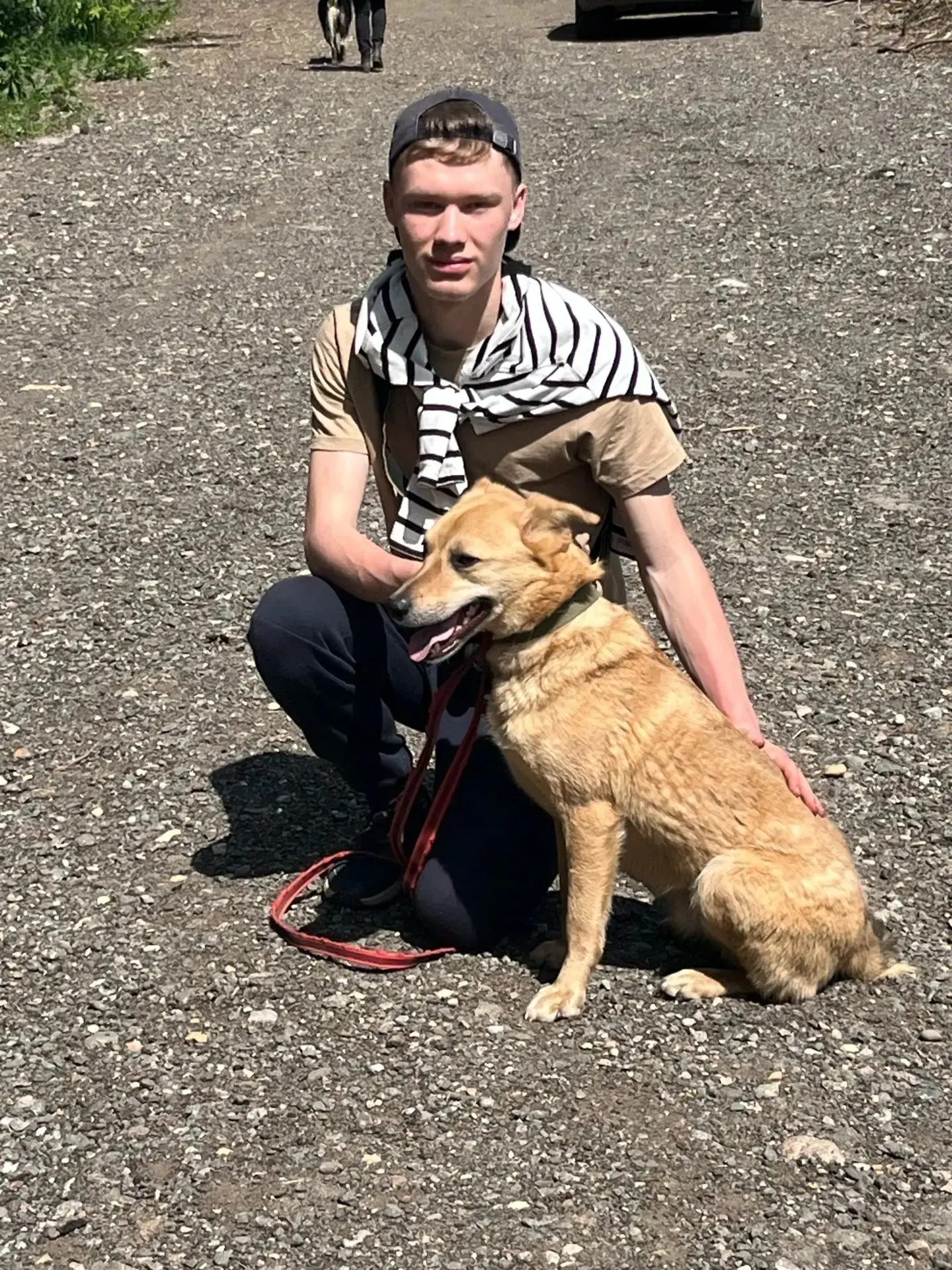 🐕Лапы, хвосты и каникулы: как ученик 10 «В» класса проводит лето с пользой 

🏖Лето — время, когда 