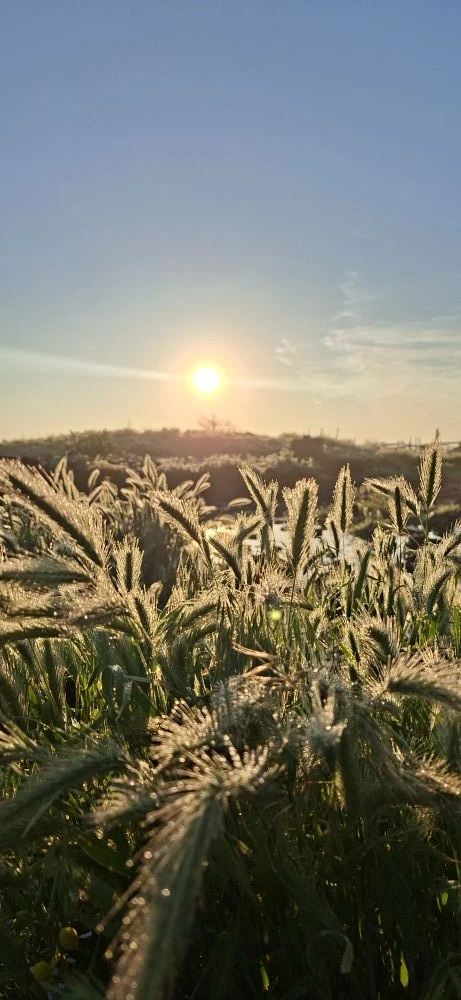 Доброе субботнее утро! ☀️

Желаем вам тёплых, уютных выходных, наполненных радостью и заботой о себе