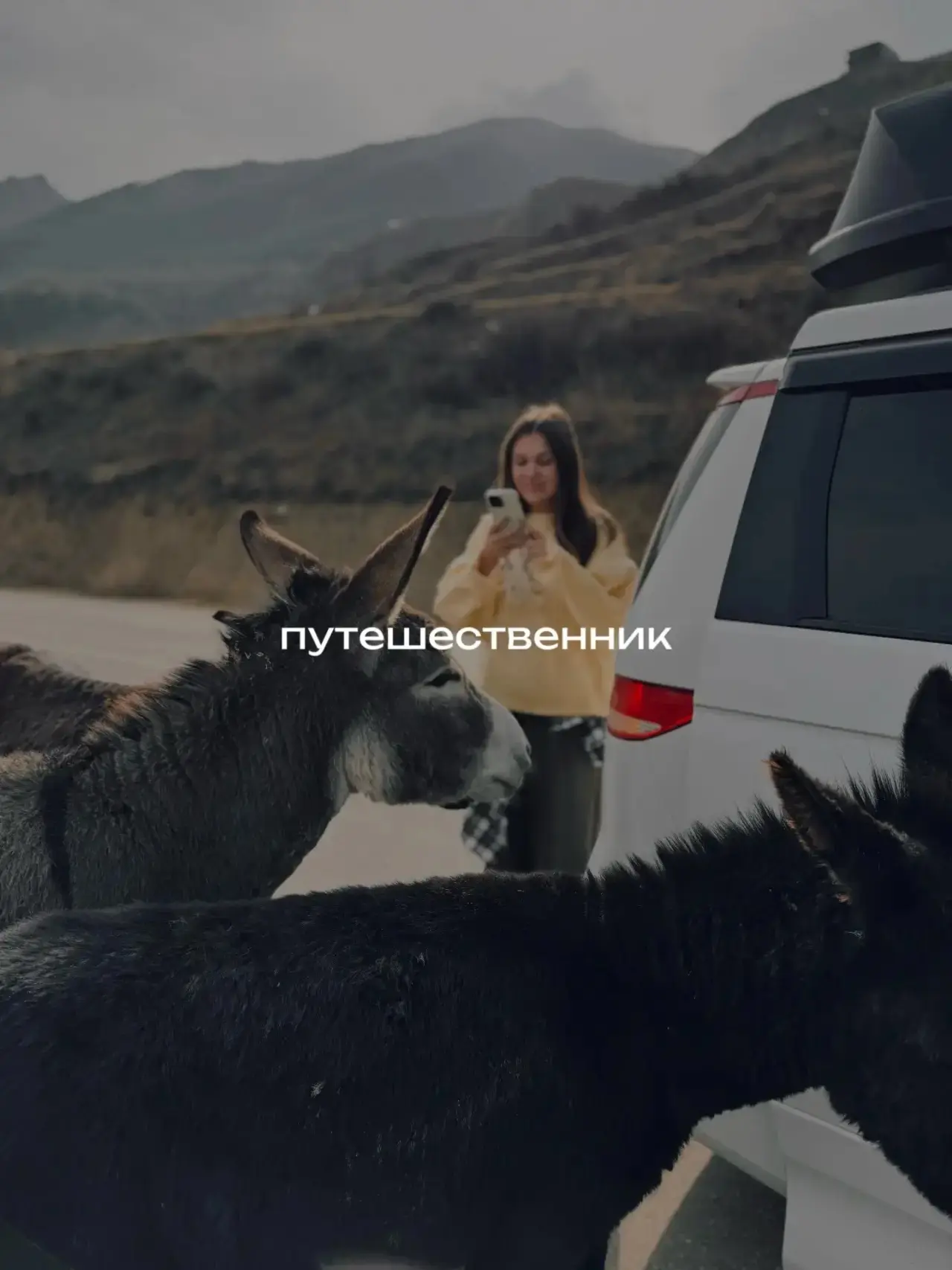 Кавказ — это когда утром вы берёте ароматный кофе, едете по серпантинам, а за поворотом открываются 