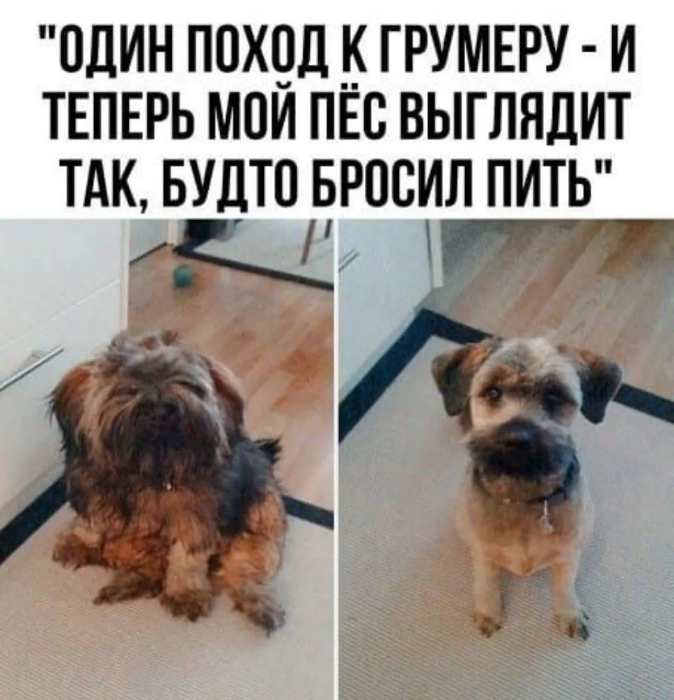 На календаре июль, а за окном — серая пелена и обещание очередного ливня. Лето явно решило поиграть 