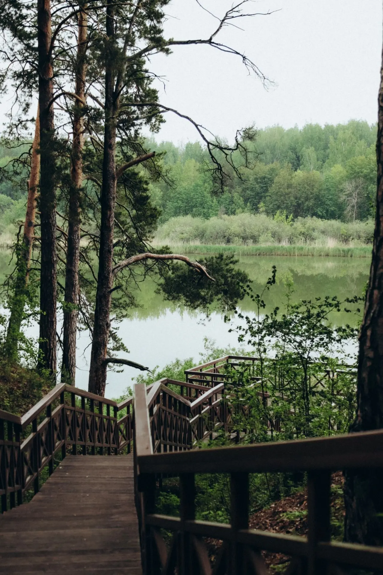Лето в Гилевской роще.

Благодарим за фото Дарину Чечулину.