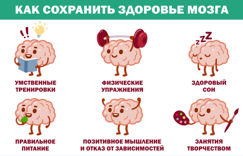 20-26 июля — неделя сохранения здоровья головного мозга🧠

Интересные факты о головном мозге:
✅ сама