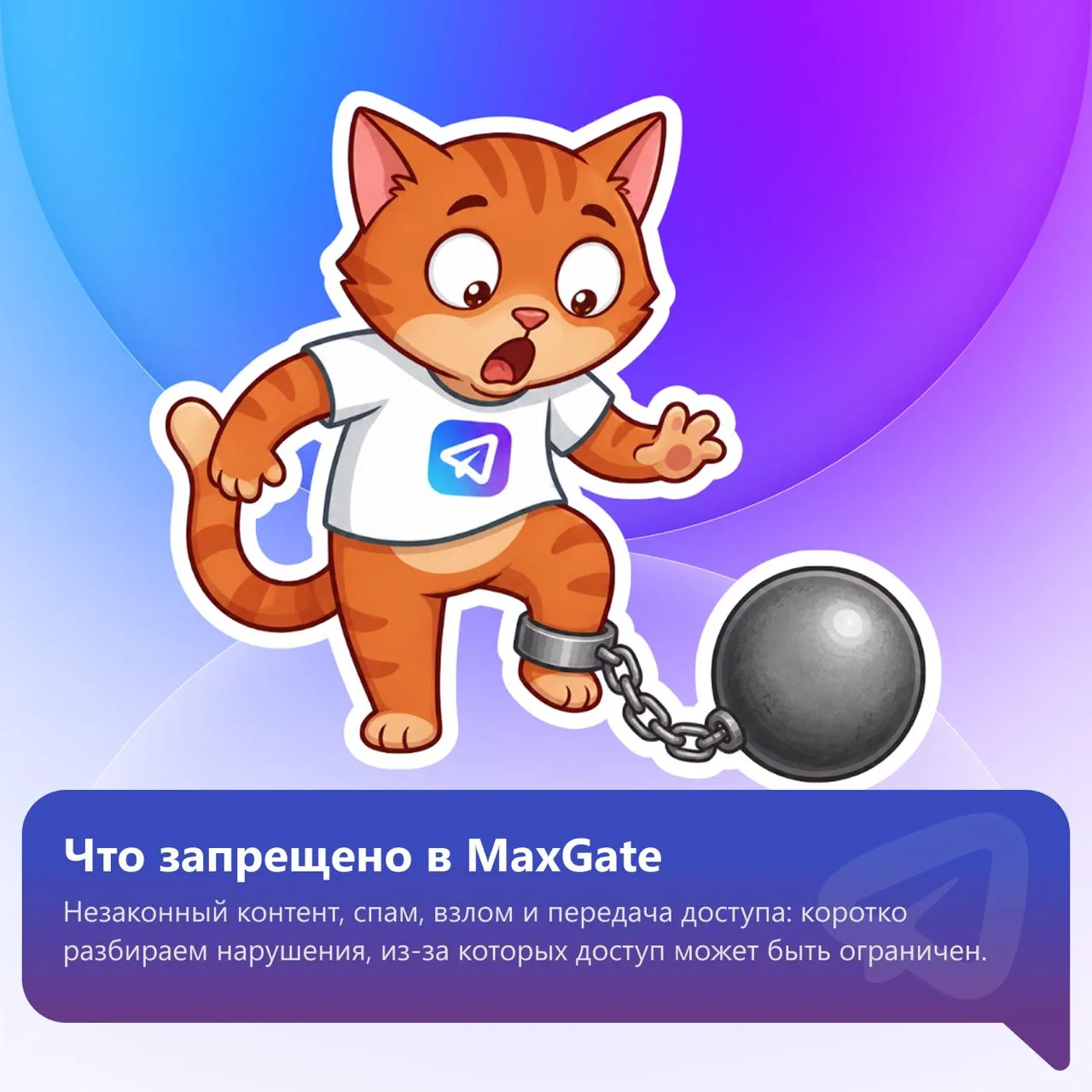 Вчера вечером пользователи MaxGate получили сообщение о блокировке аккаунта.

Это была ошибочная рас