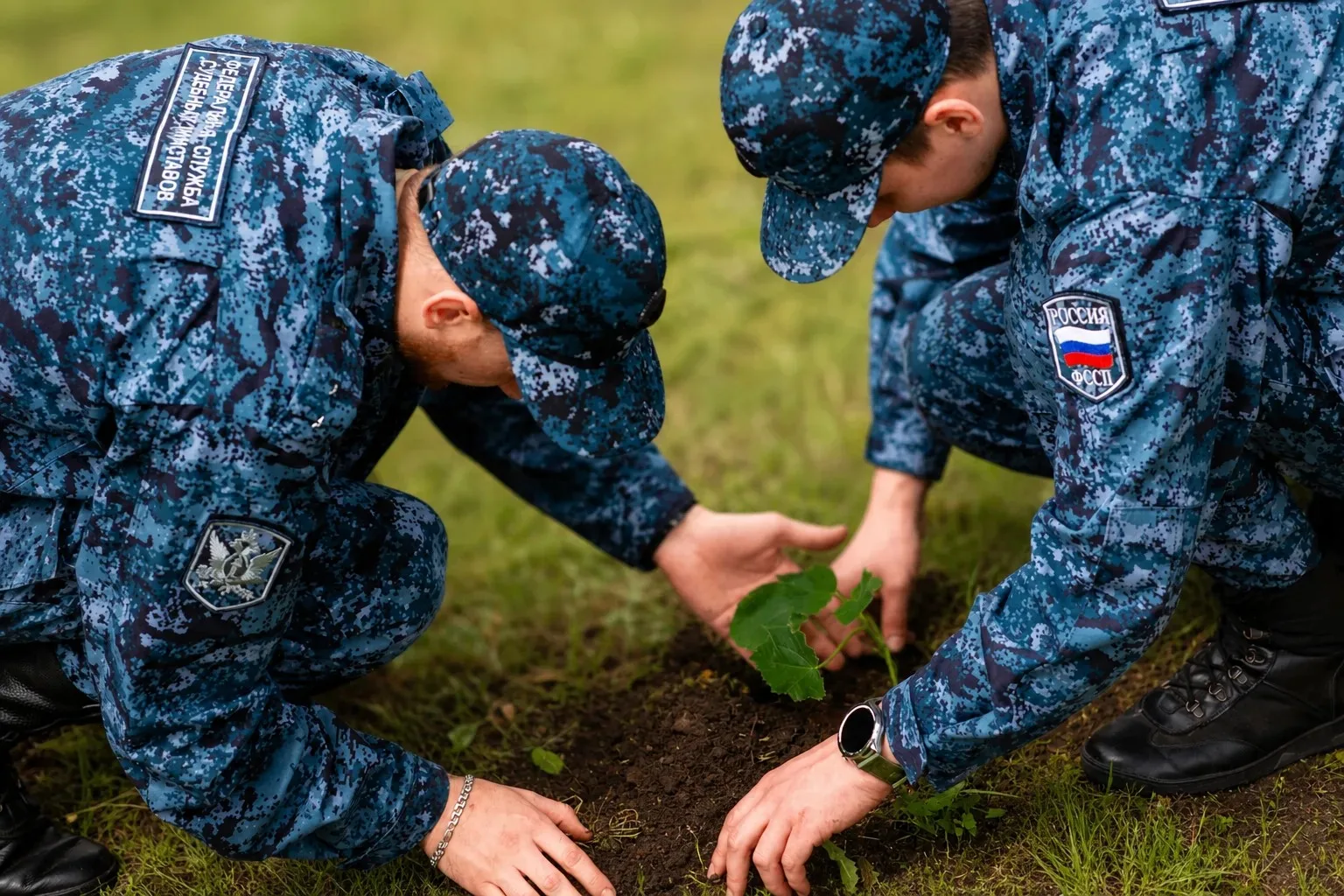 Судебные приставы ДНР высадили «императорские деревья» в честь Дня России 
  
Сотрудники Главного уп