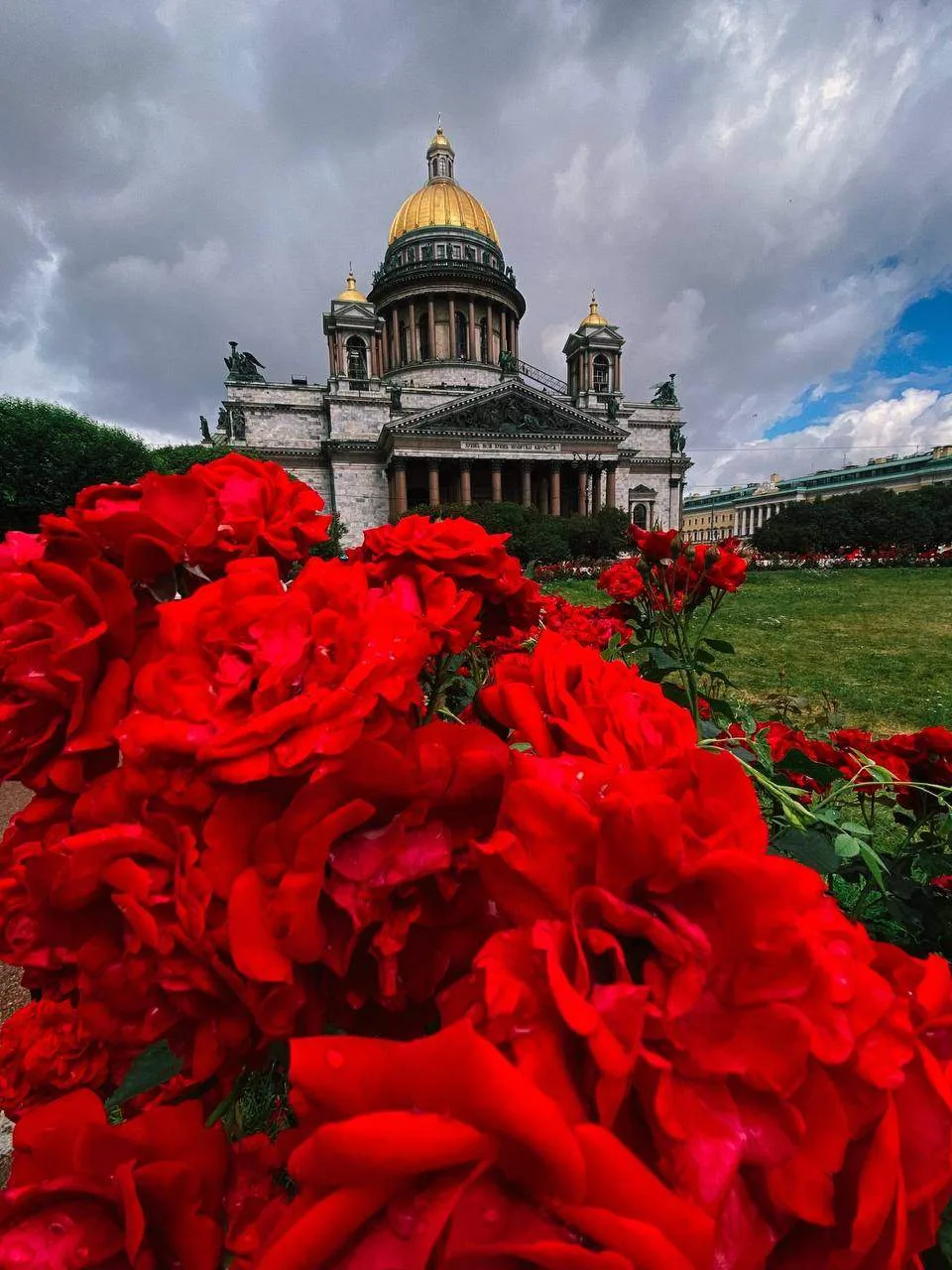 ♥️Сейчас у Исаакиевского собора все утопает в цветах.

Фото: the.diaryofjane