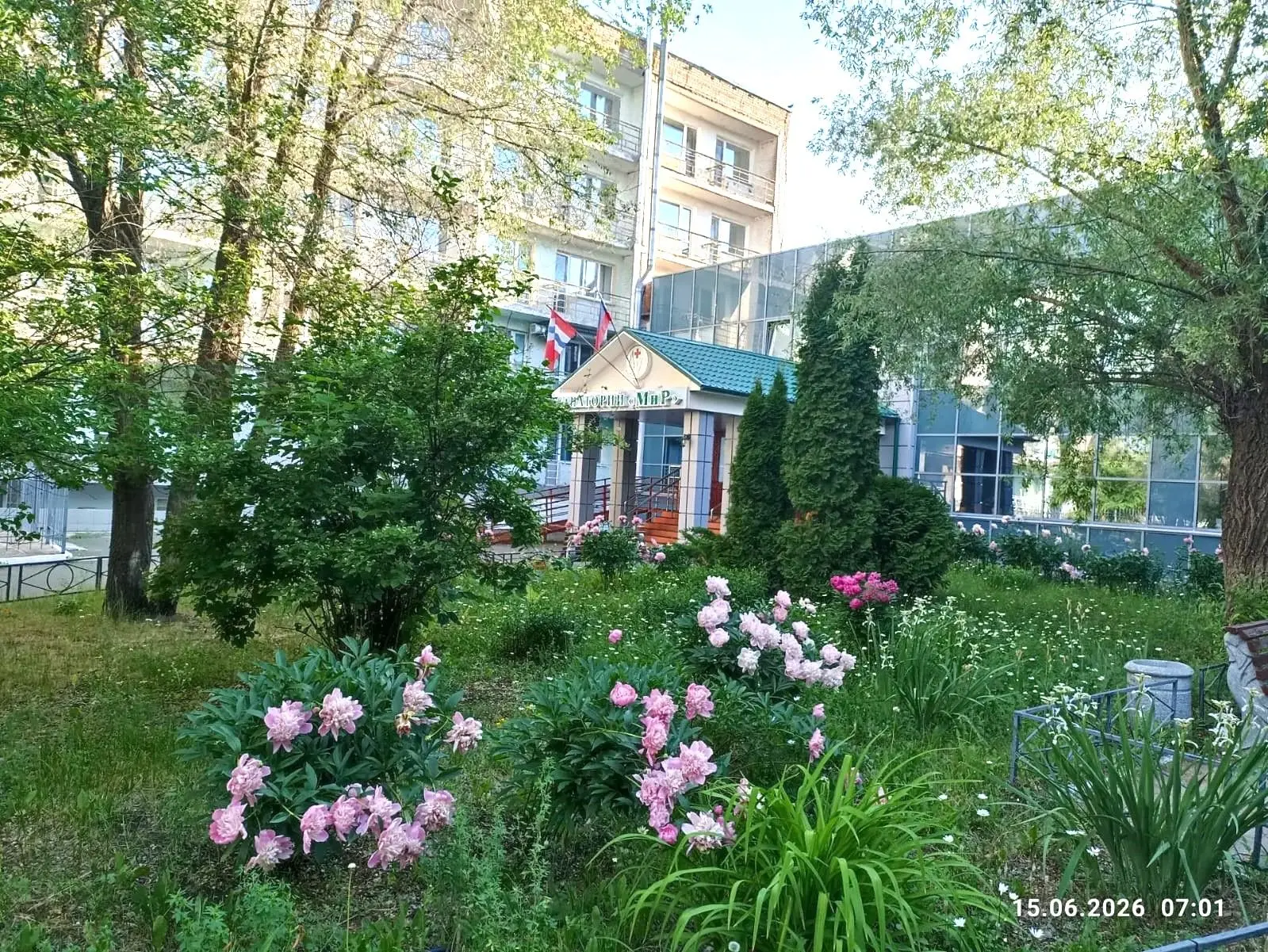Начинаем рабочую неделю с позитива!😊                                                         🌳🎄🌿