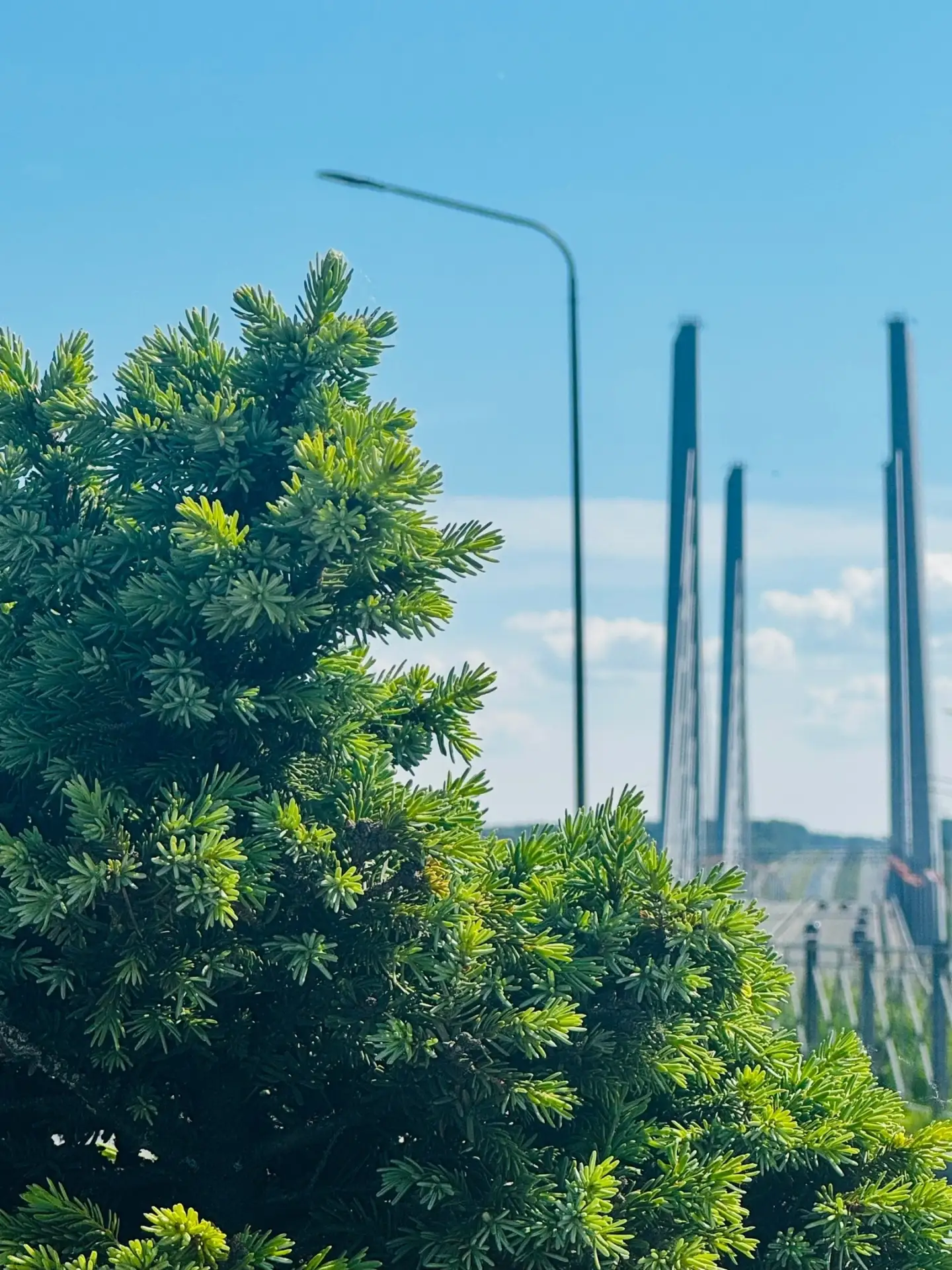 Погода радует ☀️

фото: Наталия Смирнова

Подпишись на нас 👇
