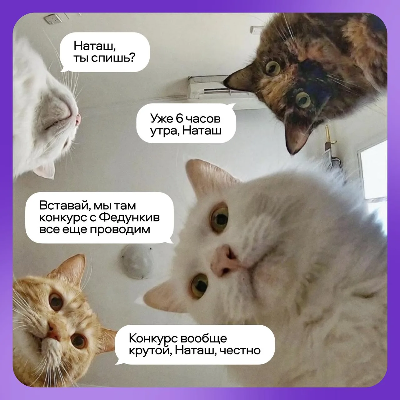🚨  На всякий случай напомним: сейчас идёт оооочень крутой спецпроект от Авито Работы.

Оставьте зая