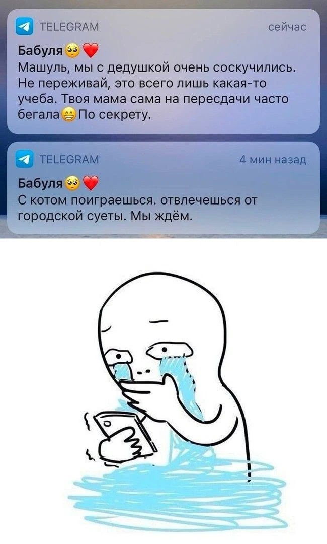 Стоп. Бабушка в телеграмме?


Ну ладно, а вас поддерживают родители в плане учебы?
