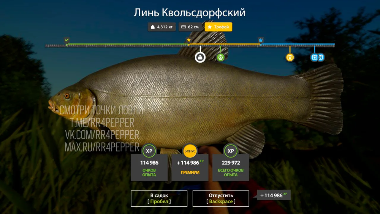 #медное@rr4pepper
⭐ Линь Квольсдорфский Х2
📌 Точка 67:57, клипса 5
💧 Температура пониженная
👤 Авт