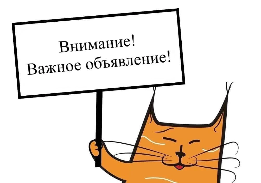 ГБУ «Краснохолмская СББЖ» информирует граждан Краснохолмского МО о проводимом отлове безнадзорных со