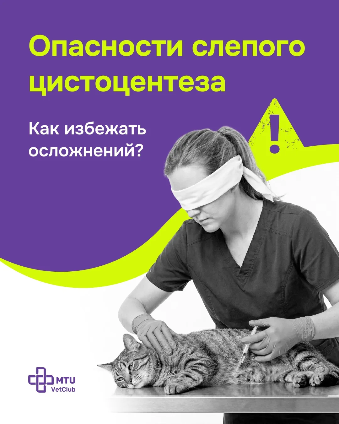 Вы все еще делаете цистоцентез вслепую? Тогда мы идем к вам!

📌 Казалось бы, что сложного: пальпиру