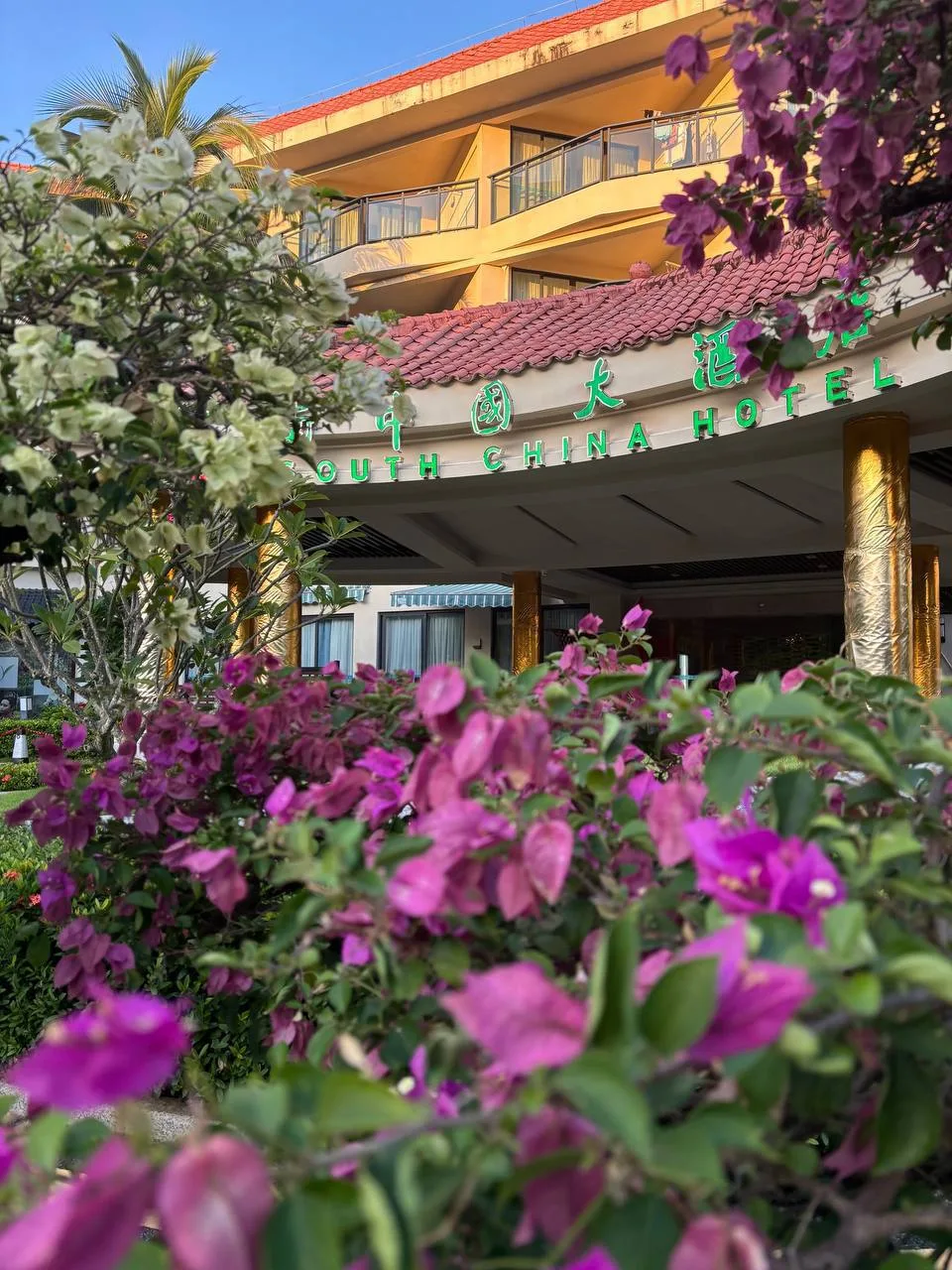 South China 4*
📍 Дадунхай 

Один из самых популярных отелей у русских туристов на Хайнане 🇨🇳

Это