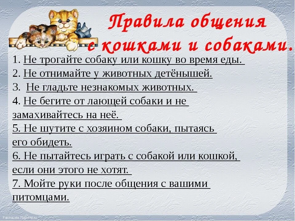 День 13. День единства народов России .🇷🇺🇷🇺🇷🇺
Этот  день в нашем школьном лагере был посвящен 