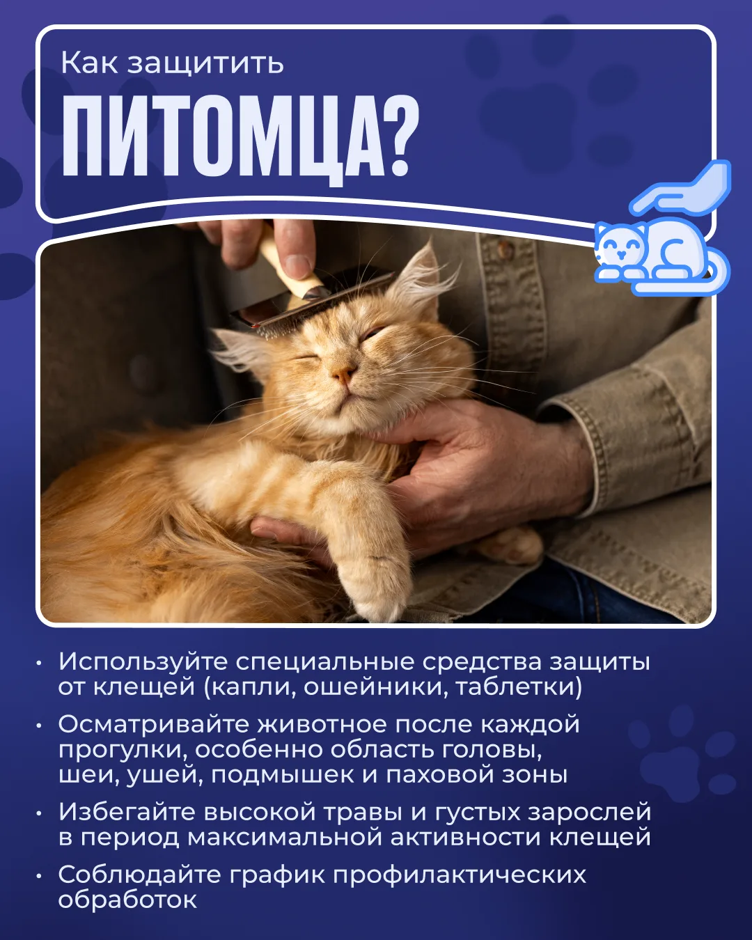 🕷️ Во время прогулок питомец может столкнуться с клещами не только в лесу или парке, но и на обычно