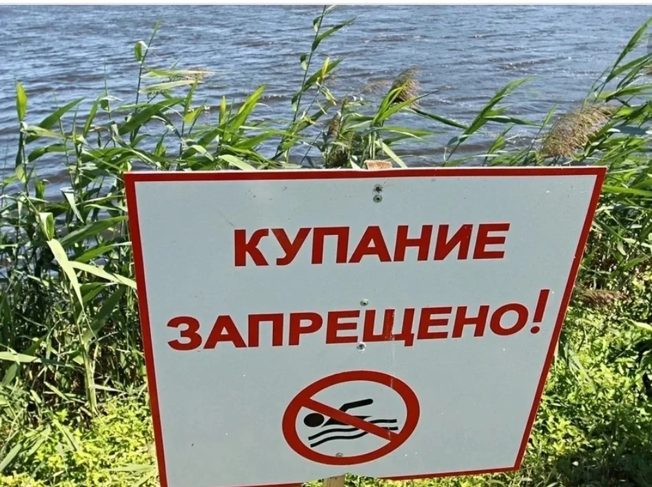 🚫Купание запрещено!

Уважаемые жители и гости сельского поселения Дубовый Умет!

‼️Напоминаем Вам, 