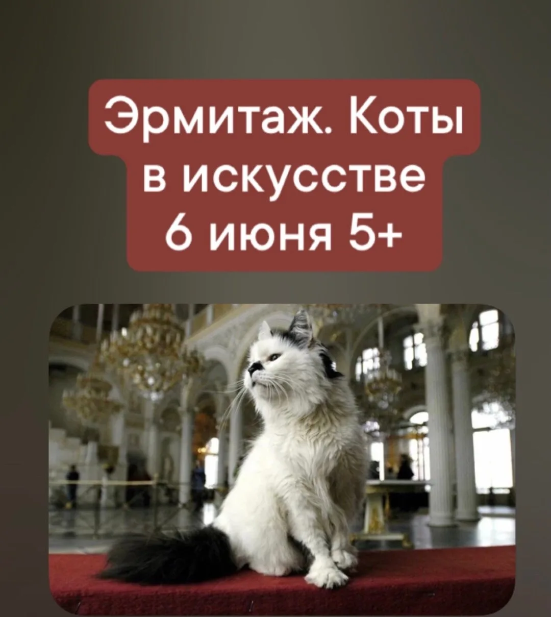 ️ 6 июня Эрмитаж для деток от 5 лет и старше!

💥 13:45 экскурсия «Эрмитажные коты в искусстве»🐈‍⬛�