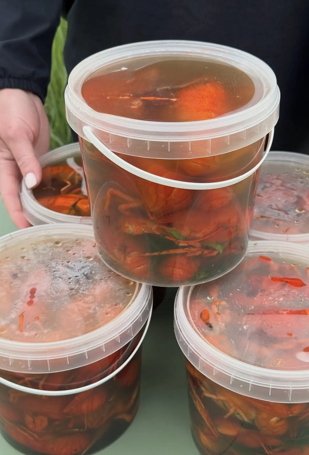 🦞 Варим раков! 🦞 

Сезон в самом разгаре, а это значит, что на кухне кипит работа! Мы варим самых 