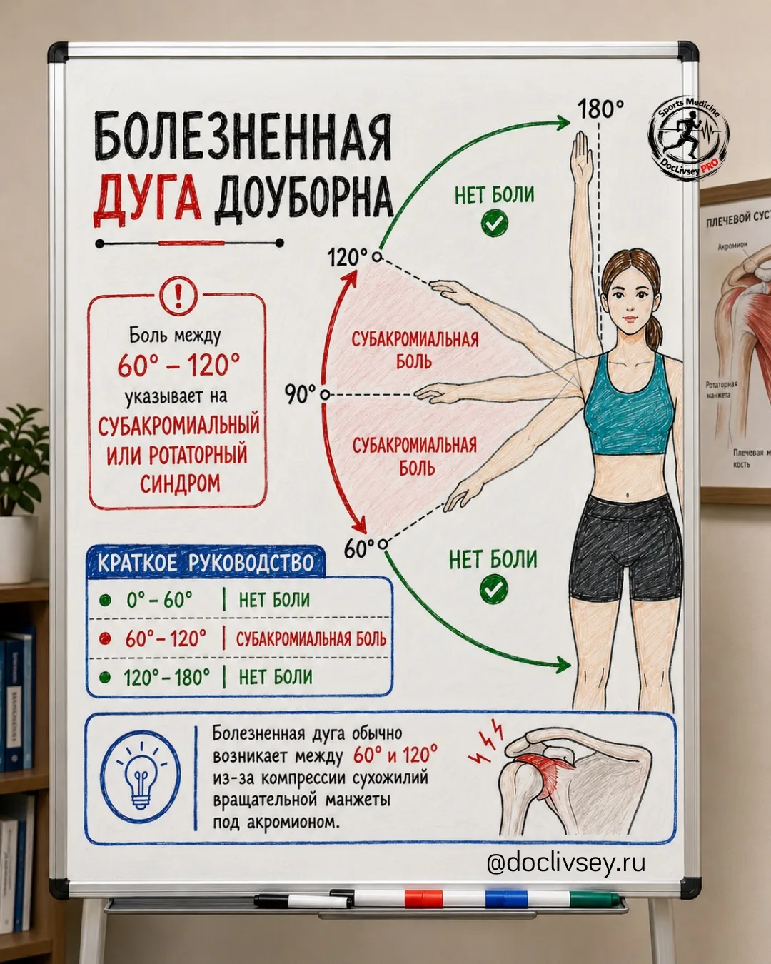 Болезненная дуга Доуборна