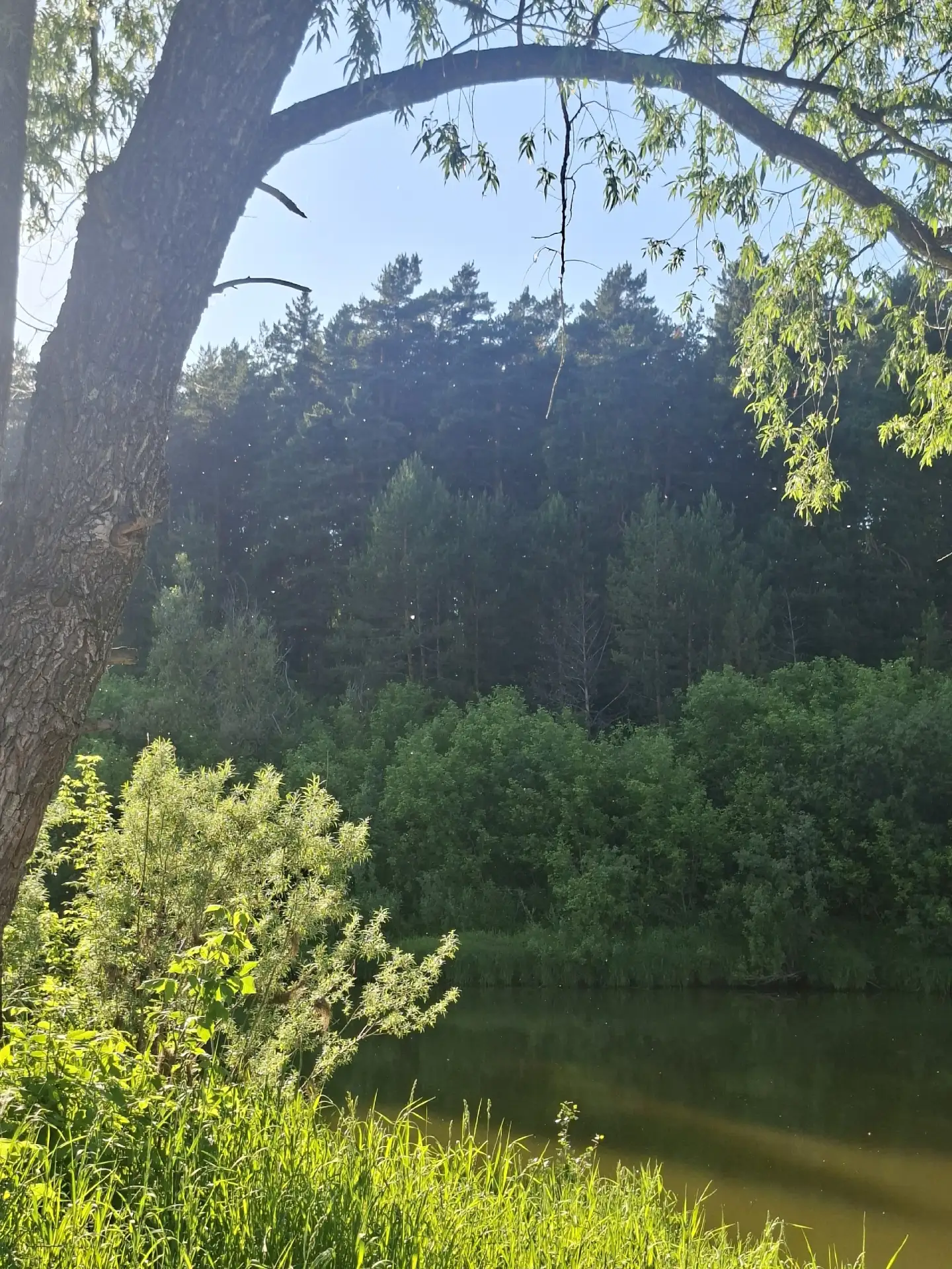 Погода в Черепаново: наслаждаемся теплом

Жаркая погода продолжает царить в Западной Сибири. Наслажд