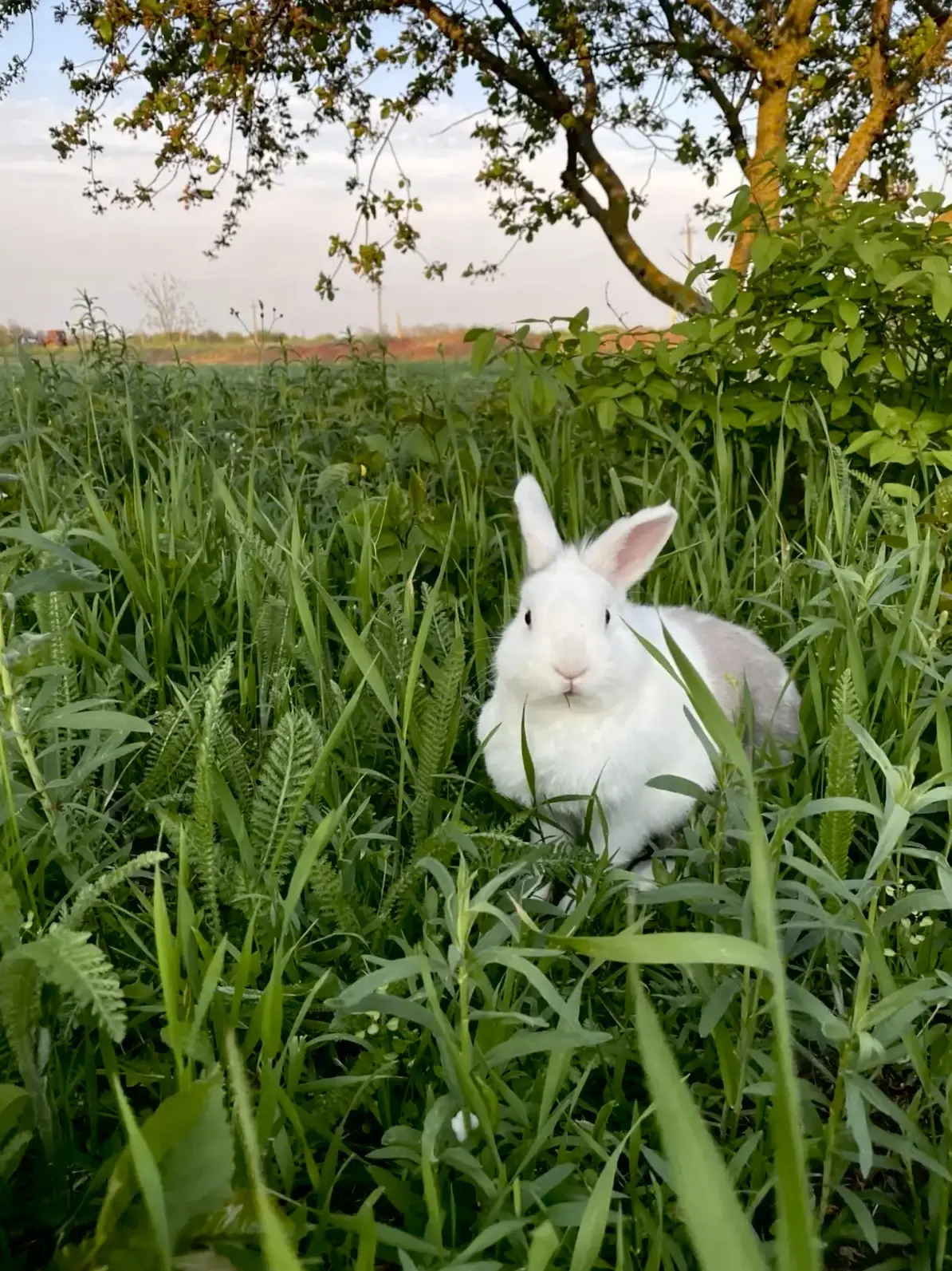 С добрым летним утром!🍃☀️
Продуктивной рабочей недели вам и хорошего настроения!