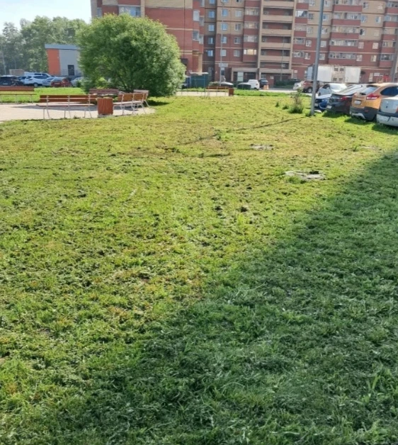 🌾 Активно ведутся работы по покосу травы на территориях наших домов!

✅ В ближайшие дни завершим по