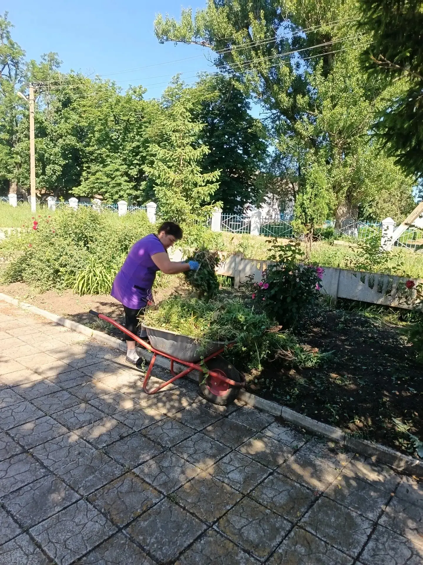 Продолжается активная работа по поддержке чистоты и порядка на территории ТОА по Кузнецовской группе