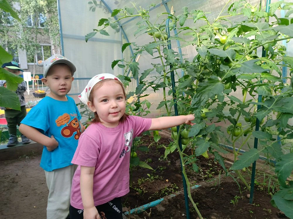 🌱Маленькие садоводы из 15 группы постигают азы экологии на практике! 💦Каждое утро для них начинает