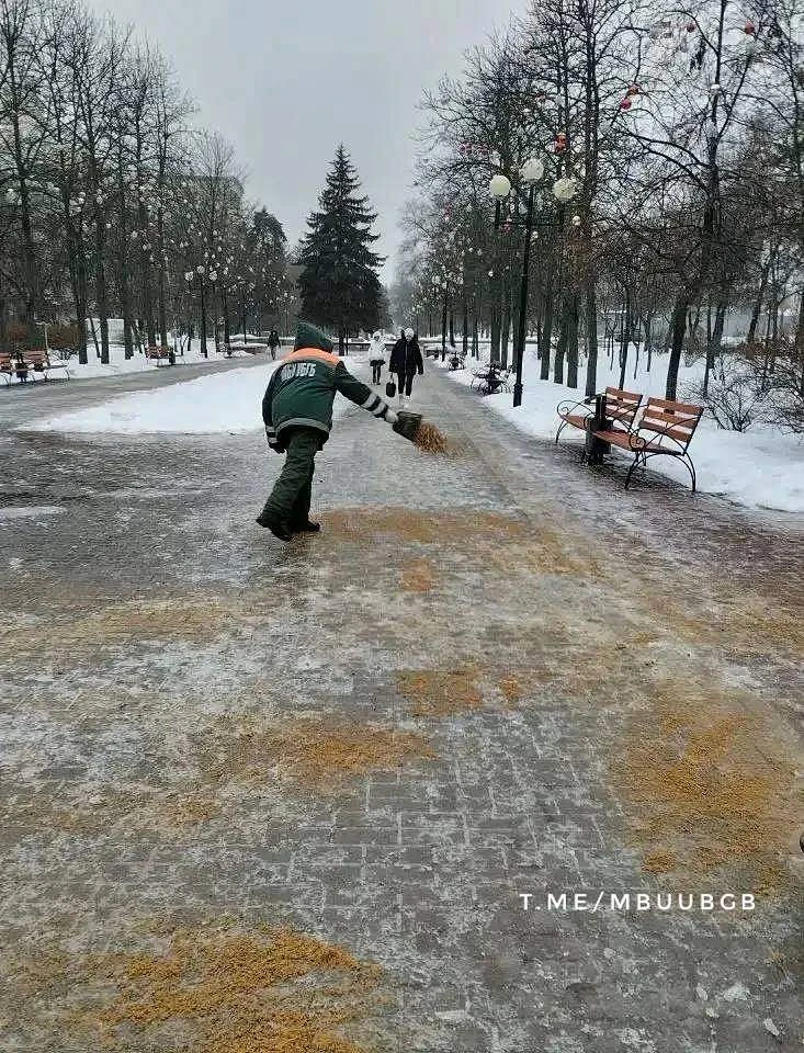 30.01.26 ночью ожидаются осадки в виде дождя и мокрого снега, температура воздуха от -5 до -7 градус