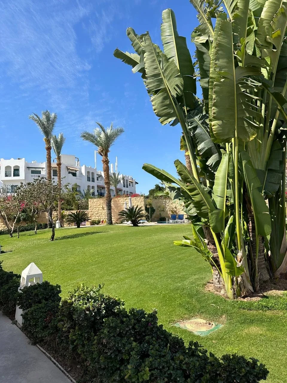 Египет, Шарм ✈ из Челябинска 20.06 - 10 ночей🔥
🏨 Palma Di Sharm Resort & Aqua Park 4* - 146 000 на
