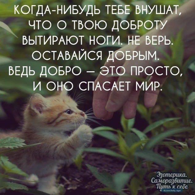 ~Гороскоп~

✅ Гороскоп - Подпишись