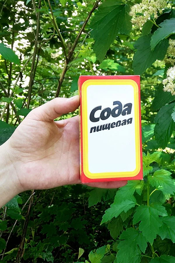 Пищевая сода — незаменимый помощник в саду и огороде 👩‍🌾

▫️Против мучнистой росы:
2 ст.л. соды + 