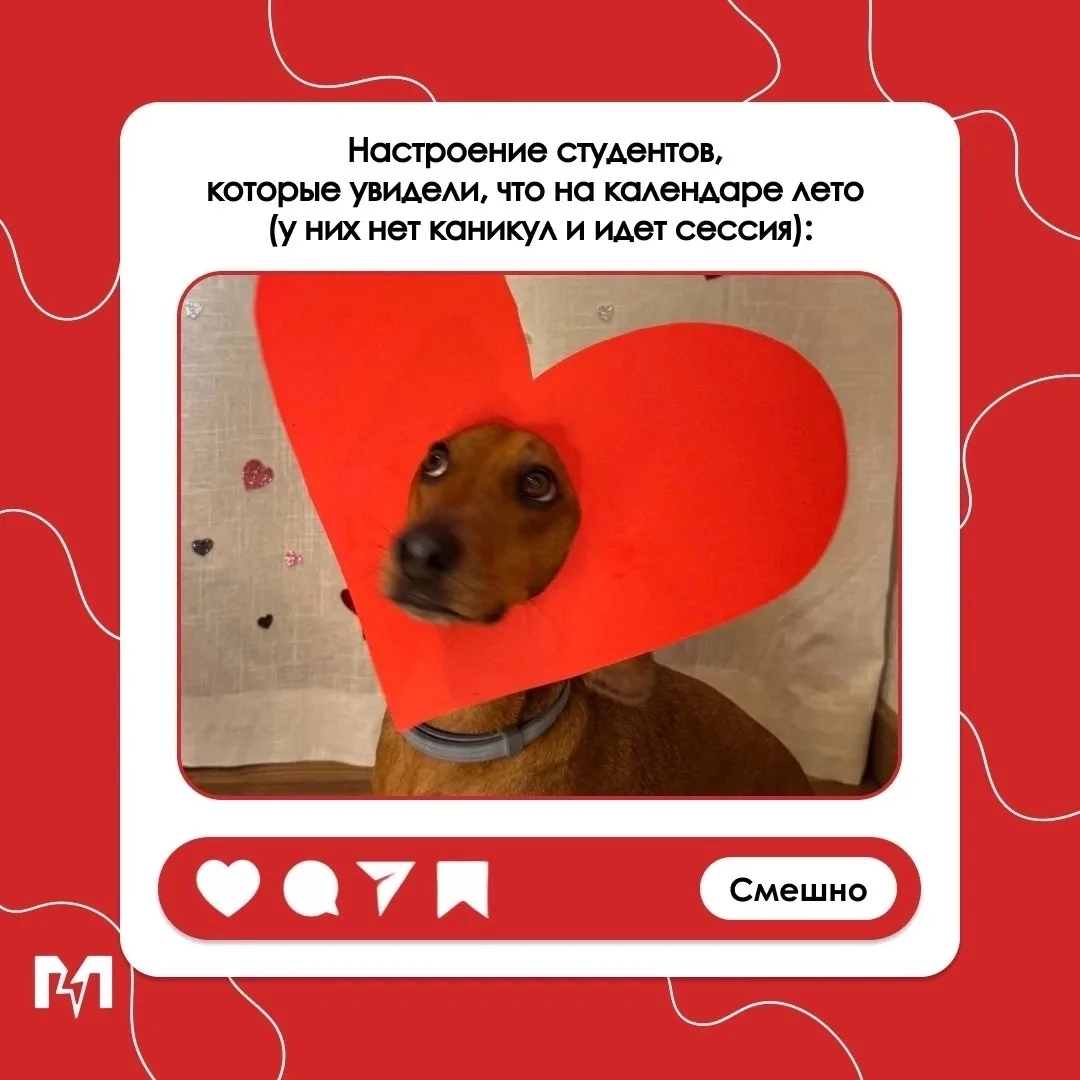 Настраиваемся на лето ☀️ 

Лето наконец вступило в свои права, а значит, мы все можем сполна наслади