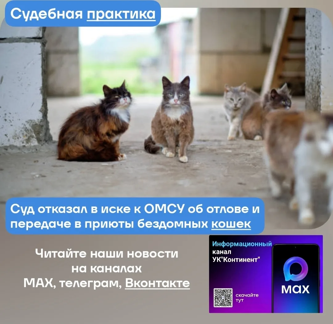 Суд отказал в иске к ОМСУ об отлове и передаче в приюты бездомных кошек

www.garant.ru/news/2114726/