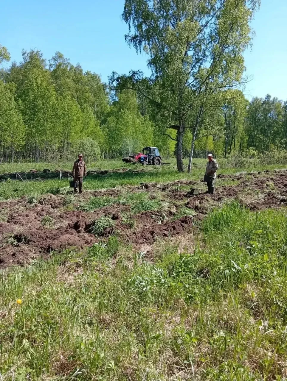 Пока вы все еще говорите, что любите природу, мы доказываем  это делами.

Биотехнические Работы. Пос