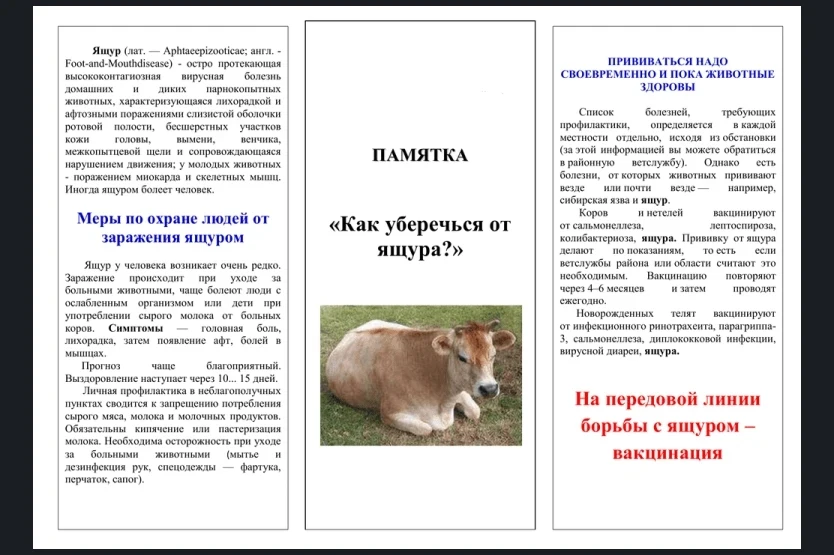 ⚠️ ВАЖНАЯ ИНФОРМАЦИЯ ДЛЯ ЖИТЕЛЕЙ ЗАВОЛЖСКОГО РАЙОНА

Уважаемые жители и владельцы сельскохозяйственн