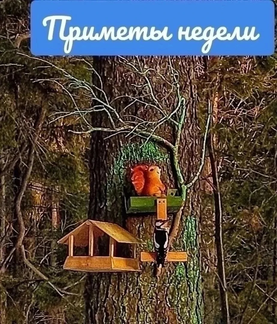 1️⃣5️⃣ июня 
✴️ Если солнце всходит в тумане, днем будет тихо и душно.
✴️ Туман исчезает после восхо