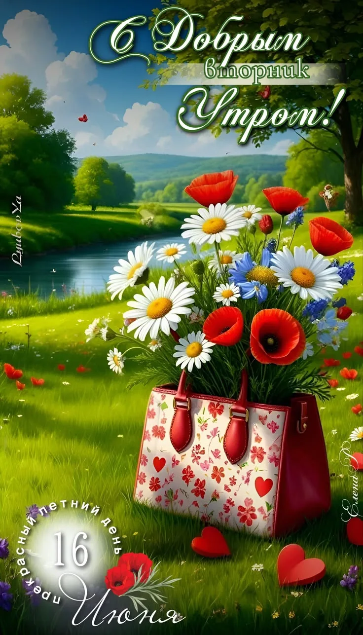 - 🌺 Понравилась открытка — нажмите реакцию и сделайте чей‑то день светлее ❤